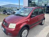 FIAT Panda 1.2 4x4 Climbing