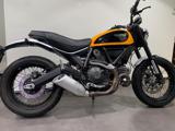DUCATI Scrambler 800 SCRAMBLER