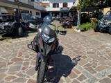 BENELLI TRK 502 502