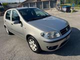 FIAT Punto neopatentati Bellissima Stupenda 1.2 16V 5PDynamic
