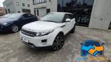 LAND ROVER Range Rover Evoque 2.2 TD4 5p. Pure Tech Pack
