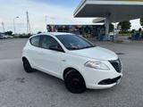 LANCIA Ypsilon 1.2 69 CV 5 porte Elefantino