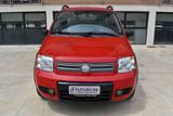FIAT Panda 1.2 Climbing Natural Power