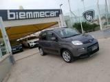 FIAT Panda 1.0 FireFly S&S Hybrid City Life  I.E