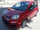 FIAT Panda 1.0 FireFly HYBRID KM 0 SENSORI POST PREZZO REALE
