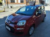 FIAT Panda 1.0 FireFly HYBRID KM 0  5 POSTI CON SENSORI POST.