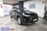 TOYOTA RAV 4 RAV4 2.5 HV (218CV) E-CVT 2WD Business