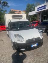 FIAT doblo cella frigorifera  1248 cc diesel