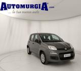 FIAT Panda 1.2 69cv Lounge