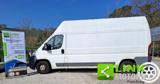 CITROEN CASSONATO  JUMPER