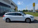 FORD Focus Focus SW 1.5  Business 5P