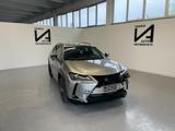 LEXUS UX 250h HYBRID URBAN 184CV CAMBIO AUTOMATICO