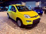 FIAT New Panda PANDINA - KM 0 - PROMO FINANZIAMENTO