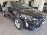 FORD Kuga 2.0 EcoBlue 120 CV aut. 2WD Titanium X