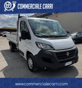 FIAT DUCATO  35 MH1 2.3 M-JET CASSONE 3 POSTI - 2020