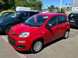 FIAT Panda 1.0 FireFly 70cv S&S Hybrid KM.ZERO