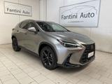LEXUS NX 300h NX Hybrid 4WD Premium +