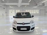 FIAT Panda AUTO SU ORDINAZIONE