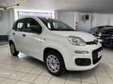 FIAT Panda 1.2 Easy - UNICO PROP. - NEOPATENTATO - IVA ESP