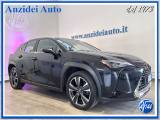 LEXUS UX 250h Hybrid Business