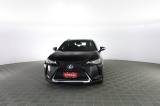 LEXUS Other UX UX Hybrid Business