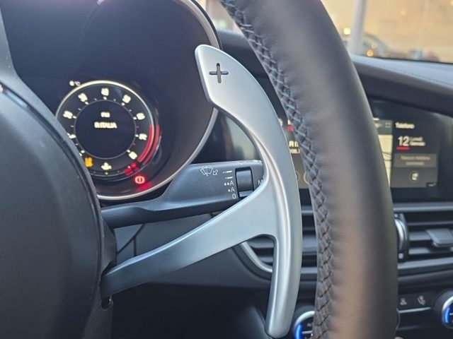 ALFA ROMEO GIULIA 2.9 V6 BI-TURBO AT8 QUADRIFOGLIO - foto 19
