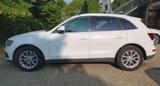 AUDI Q5 2.0TDI 150CV Advanced -TETTO PANORAMICO-
