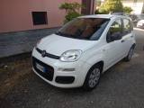 FIAT Panda 1.2 Pop