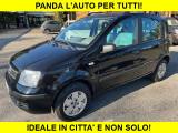 FIAT Panda 1.2 Benzina 5 Posti Neopatentati