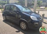 FIAT Panda 1.0 FireFly S&S Hybrid UNICO PROP