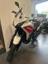 MOTO MORINI X-Cape 650 RAGGI