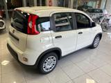 FIAT Panda Hybrid-Prezzo Reale!!