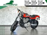HARLEY-DAVIDSON XR 1200 Sporster Finanziabile