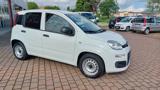FIAT Panda 1.3 MJT S&S Pop Van 2 posti  Az. Italia 100.000 KM