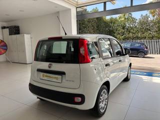 FIAT Panda usata, con Chiusura centralizzata