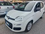 FIAT Panda 1.0 FireFly S&S Hybrid KM 44000