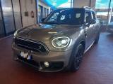 MINI Countryman 1.5 Cooper S E Hype Countryman ALL4 Automatica