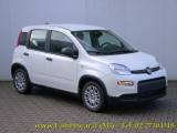 FIAT Panda 1.0 FireFly S&S Hybrid 70cv KM0