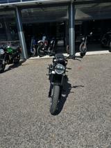 HUSQVARNA Svartpilen 401 svartpilen