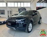 LAND ROVER Range Rover Evoque 2.0 TD4 150CV 5p. Business Edition SE
