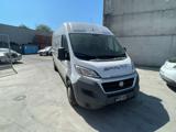 FIAT Ducato 35 3.0 CNG 136CV PLM-TM