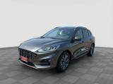 FORD Kuga Kuga 1.5 EcoBlue 120 CV 2WD ST-Line