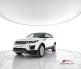 LAND ROVER Range Rover Evoque 2.0 TD4 150 CV 5p. SE Auto