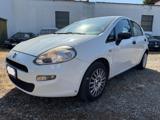 FIAT Punto 1.3 MJT II 75 CV 5 porte NEOPATENTATI