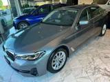 BMW 530 d Berlina 249cv xDrive Business StepTronic 48V