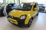 FIAT Panda 1.0 FireFly 70cv S&S Hybrid Pandina KM.ZERO