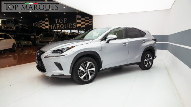 lexus nx 300 hybrid 4wd luxury
