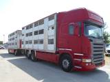 SCANIA R480 TRASPORTO BESTIAME