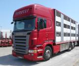 SCANIA R480 TRASPORTO BESTIAME