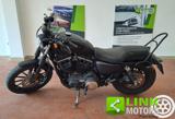 HARLEY-DAVIDSON 883 Iron XL N